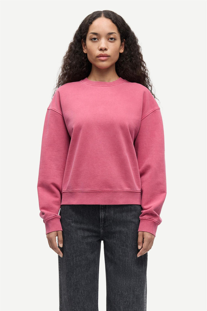 Savan Sweat 15697  Earth Red Pigment