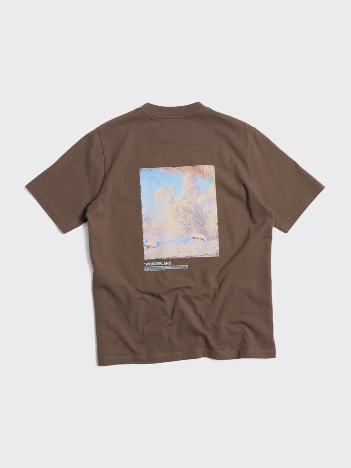 Kjerag National Tee  Brown