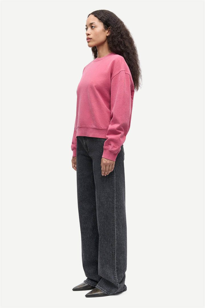 Savan Sweat 15697  Earth Red Pigment
