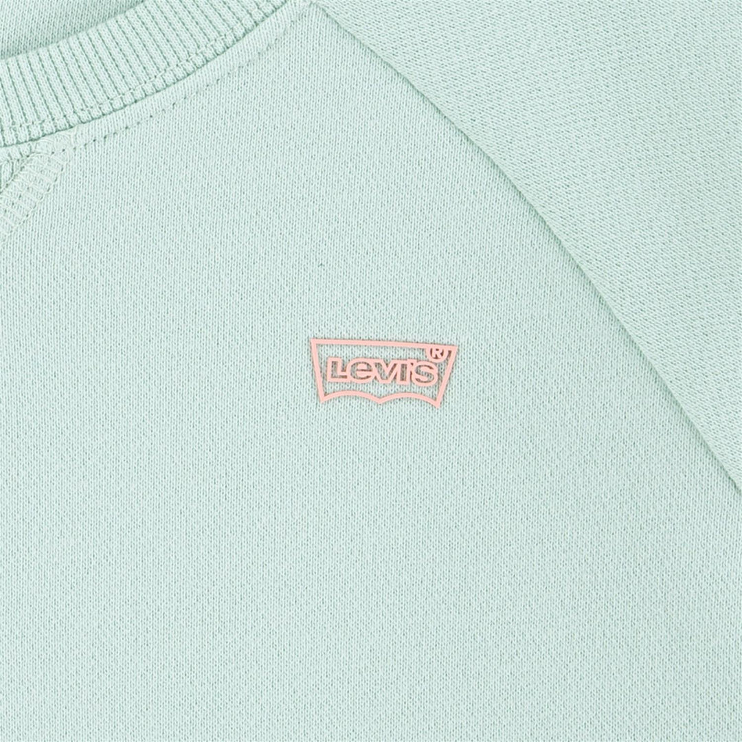 LEVIS HD SILICONE BATWING  Celadon