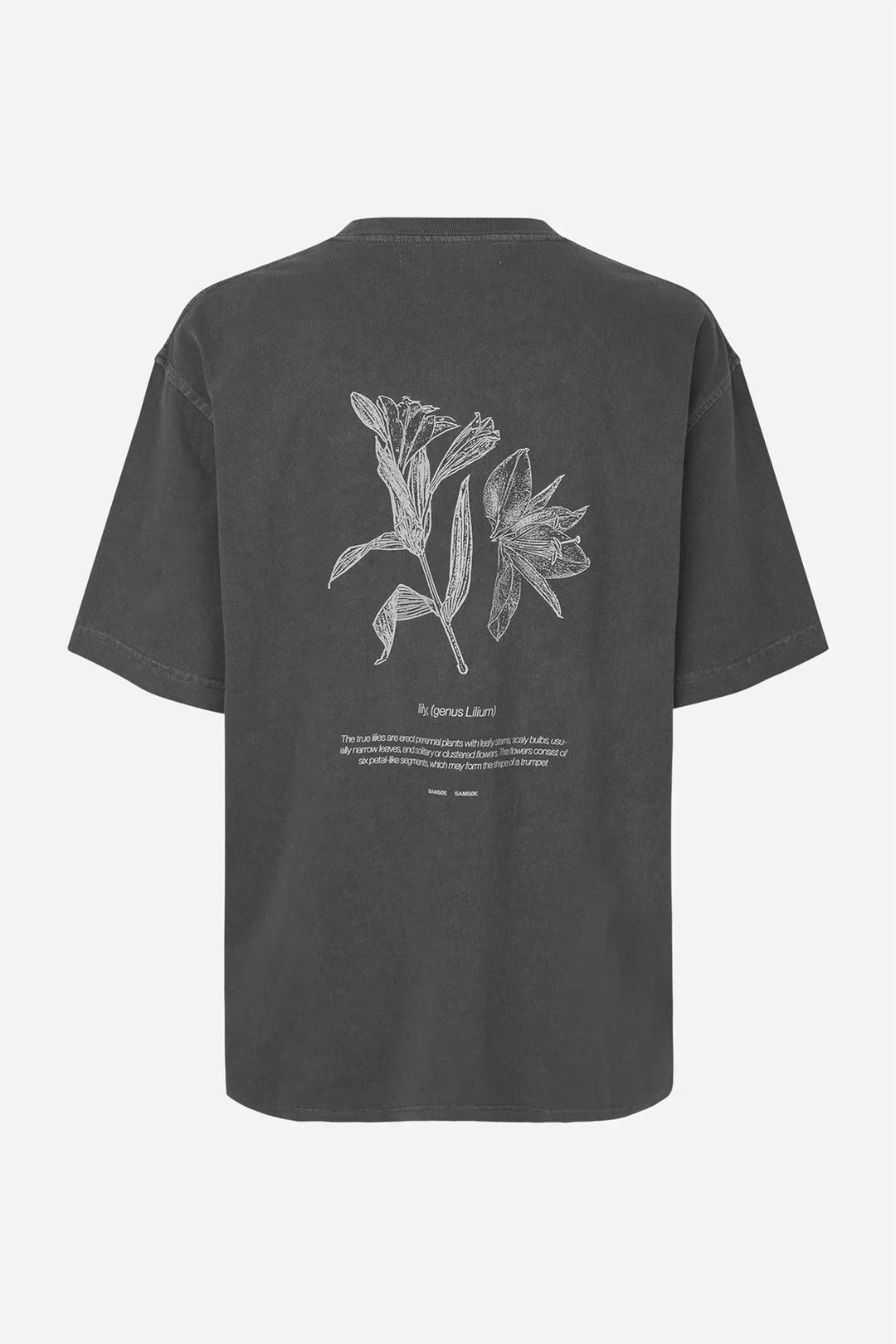 Salilium T-Shirt 15489  Lilium Clear Cream