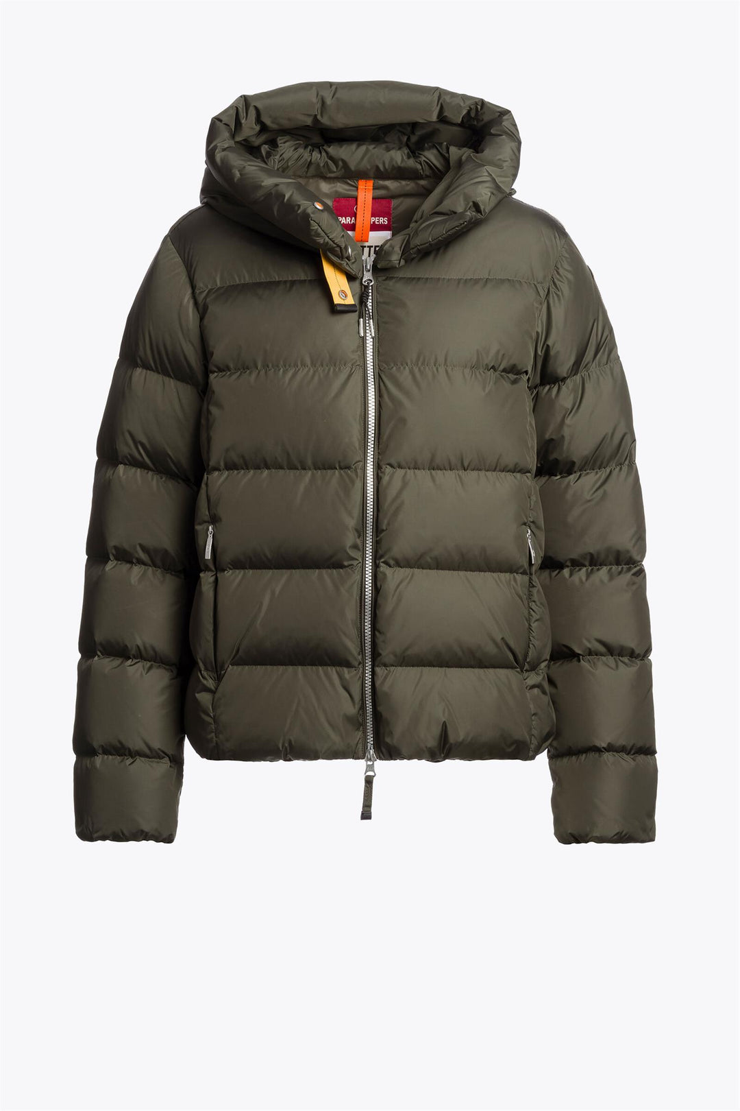 JINNY  Taggia Olive