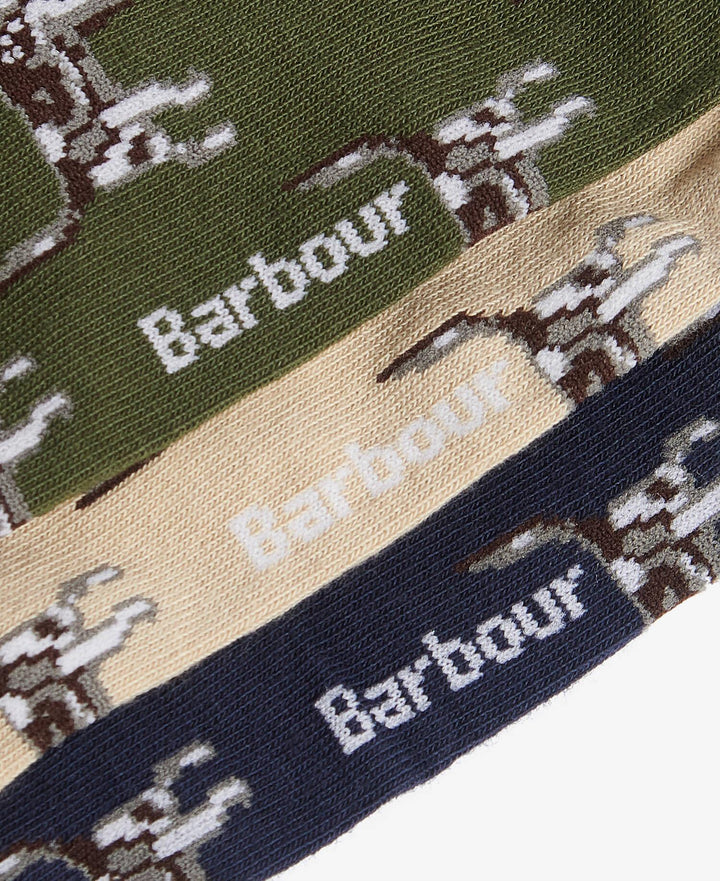 Barbour Pointer Dog Socks Gift Box  Forest Mist