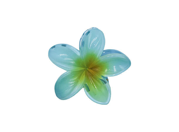 Hårklype blomst  Blå