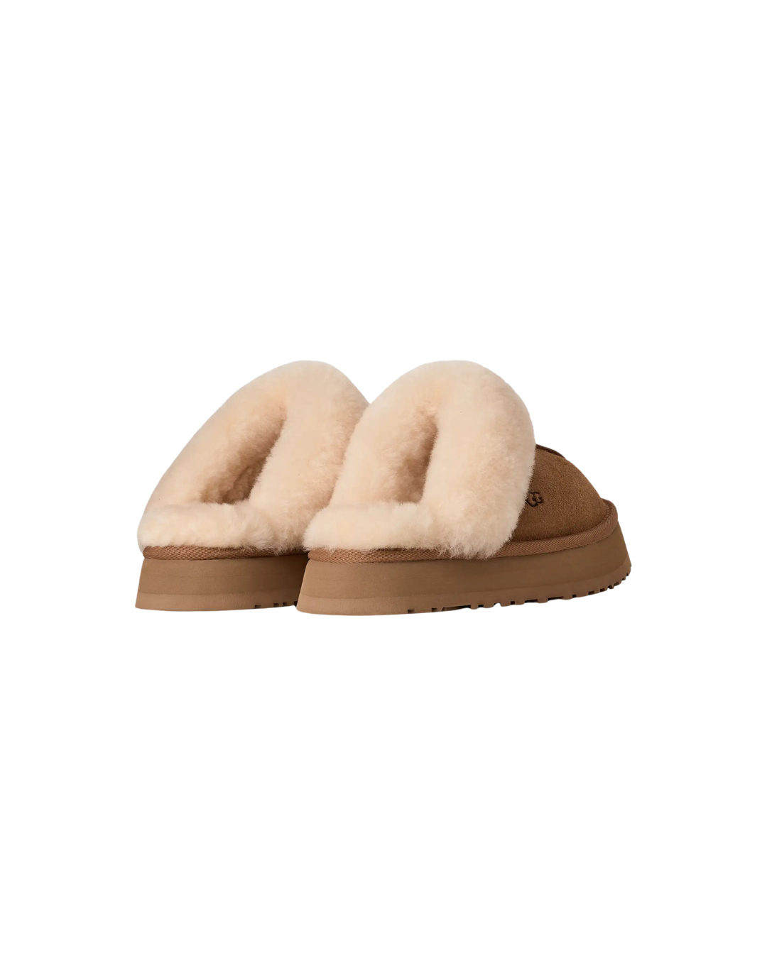W Disquette  Chestnut