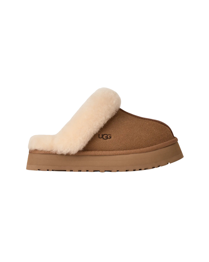 W Disquette  Chestnut