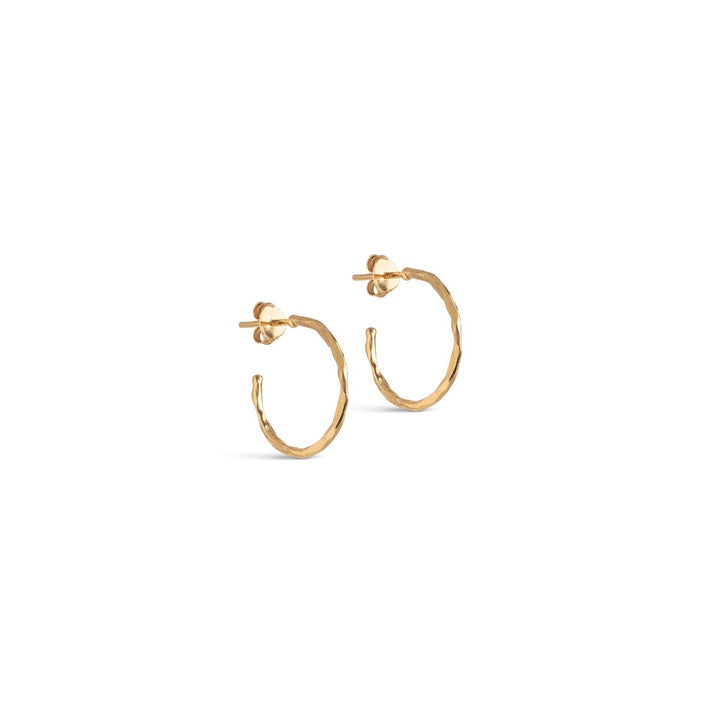 Hoops, Organic Arena Small  925S/Gp/M