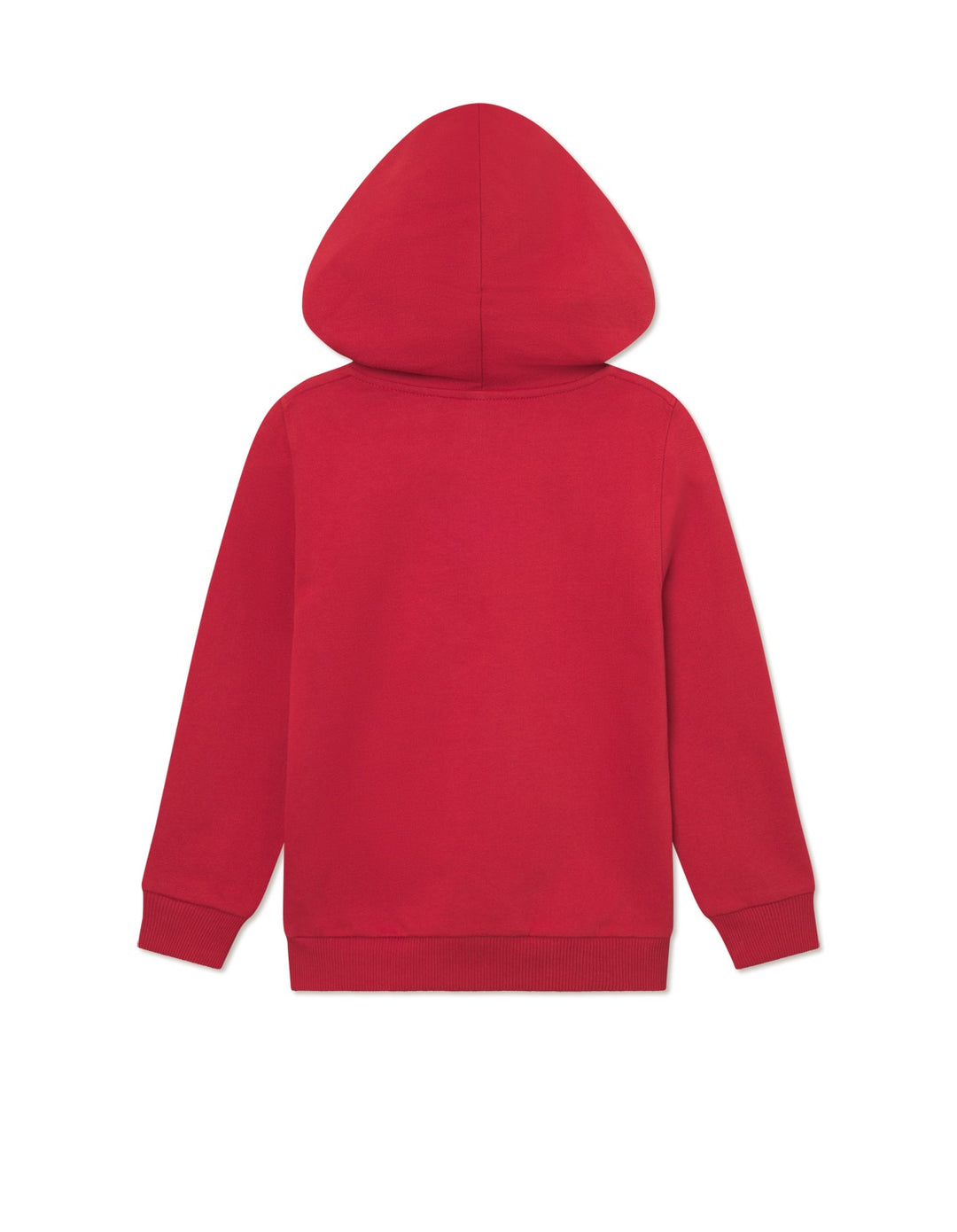 Aidan Hoodie KIDS  Scarlet Sage