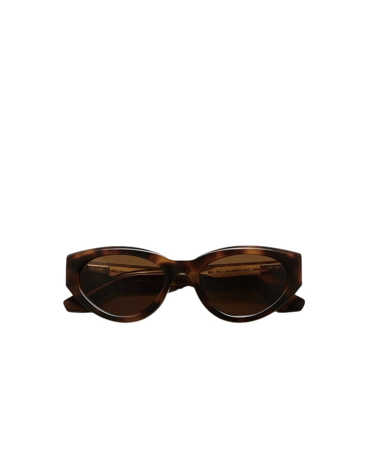 CHIMI 06.3  Tortoise