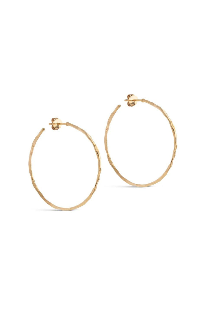 Hoops, Organic Arena Large  925S/Gp/M