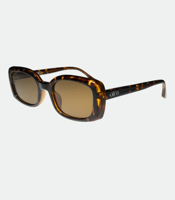 Daisy  Tort/Brown