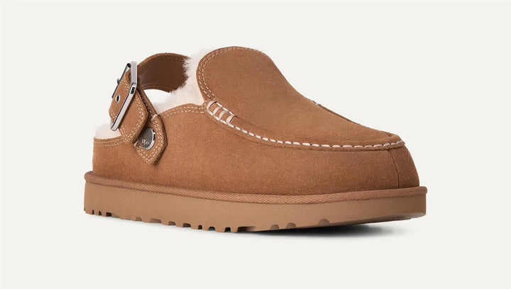 W Goldenstar Evelina Clog  Chestnut