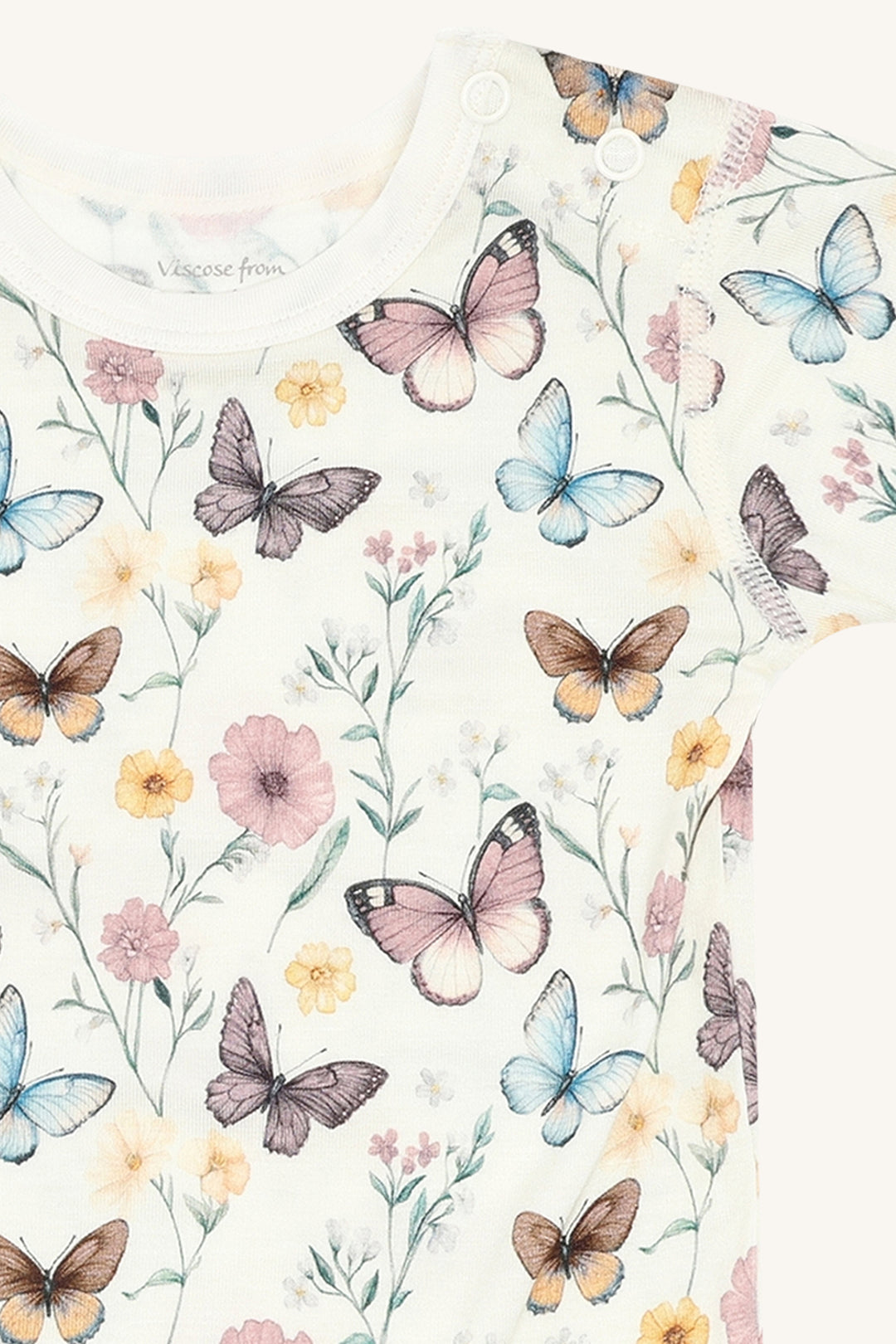 Buller Butterfly  Ivory