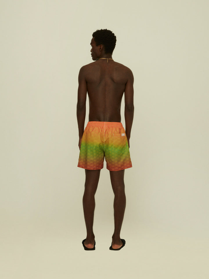 REGGAE AIR SWIM SHORTS