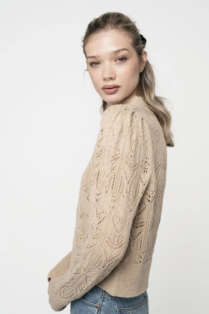 AMBER  Beige