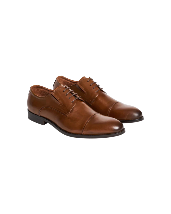 TGA 1010  Cognac