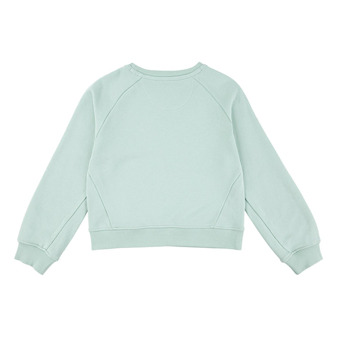 LEVIS HD SILICONE BATWING  Celadon