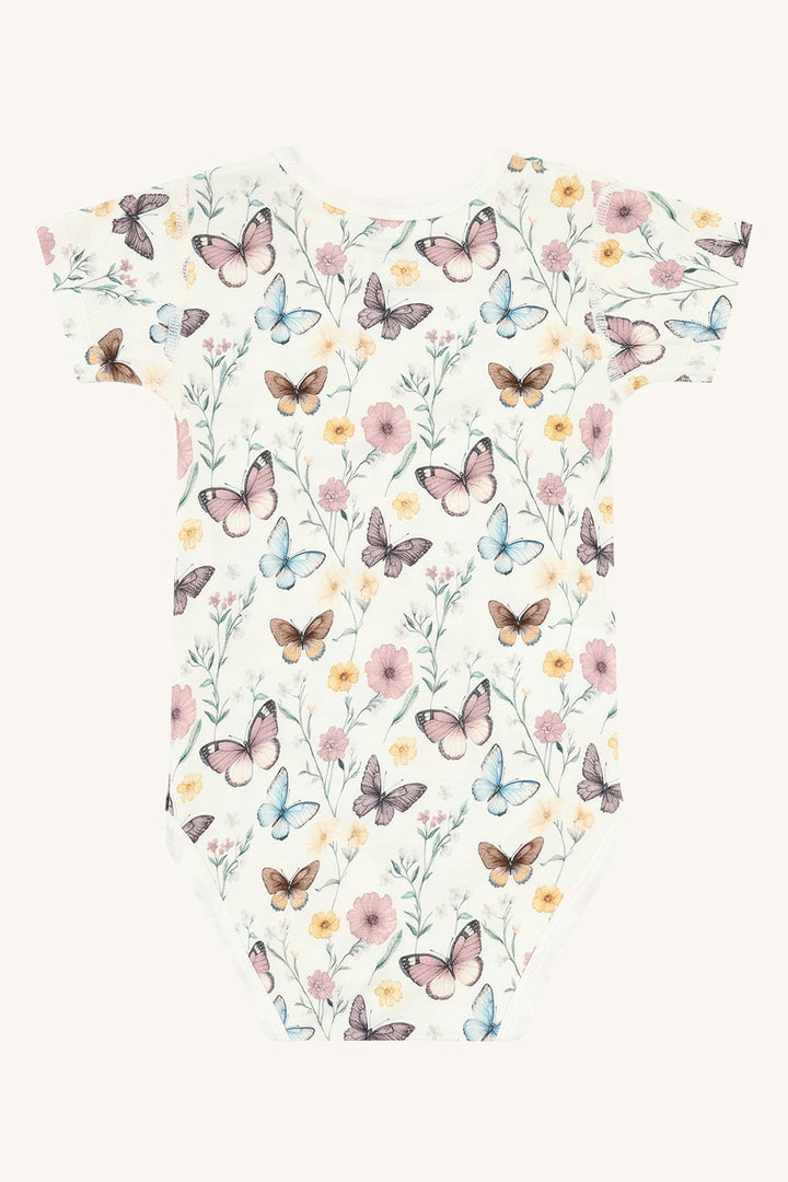Buller Butterfly  Ivory