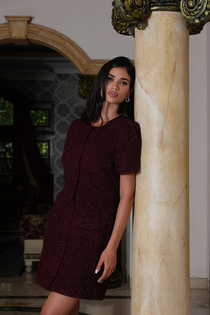 Stassie Mini Dress Burgundy