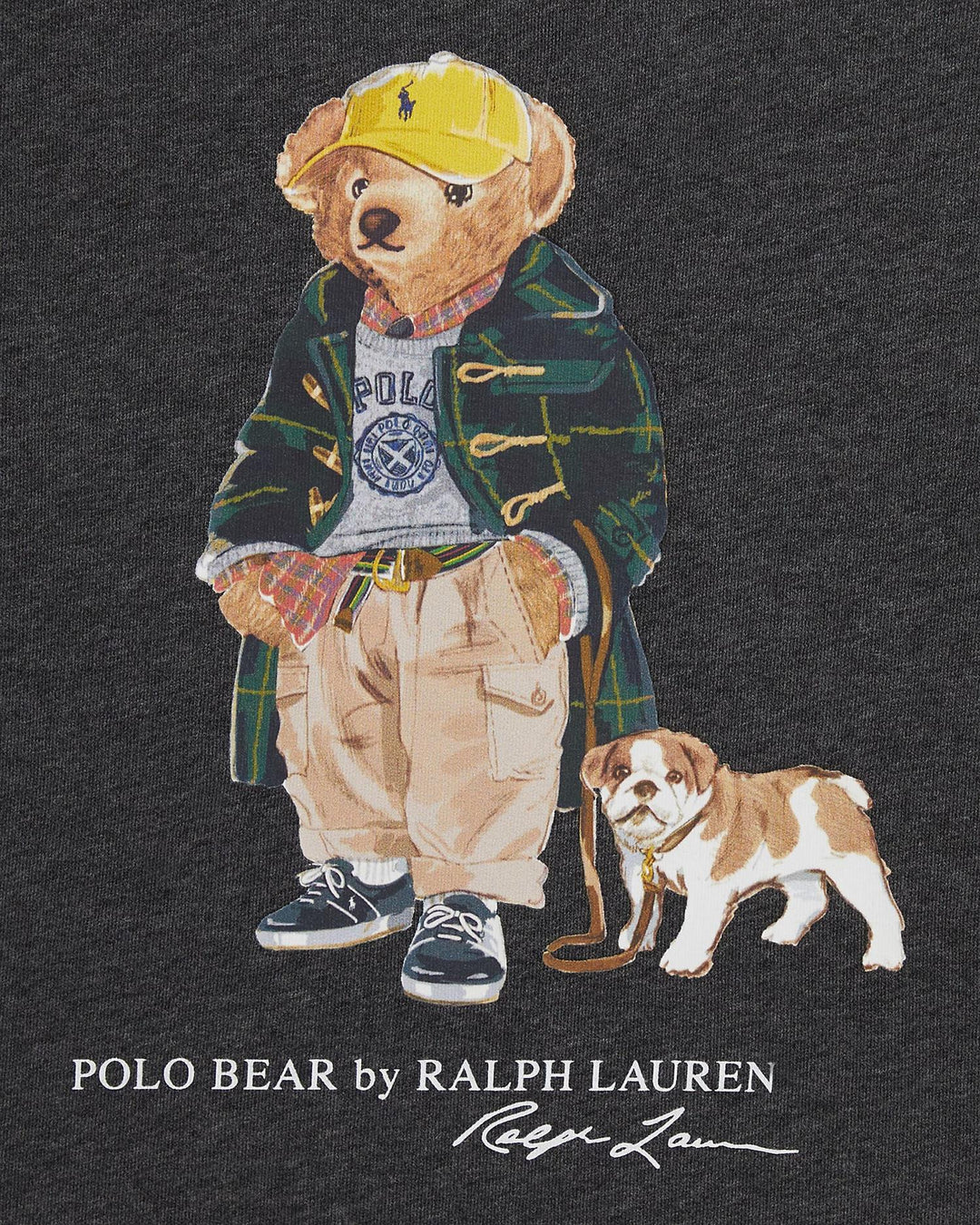 SWEATSHIRT BEAR  Grå