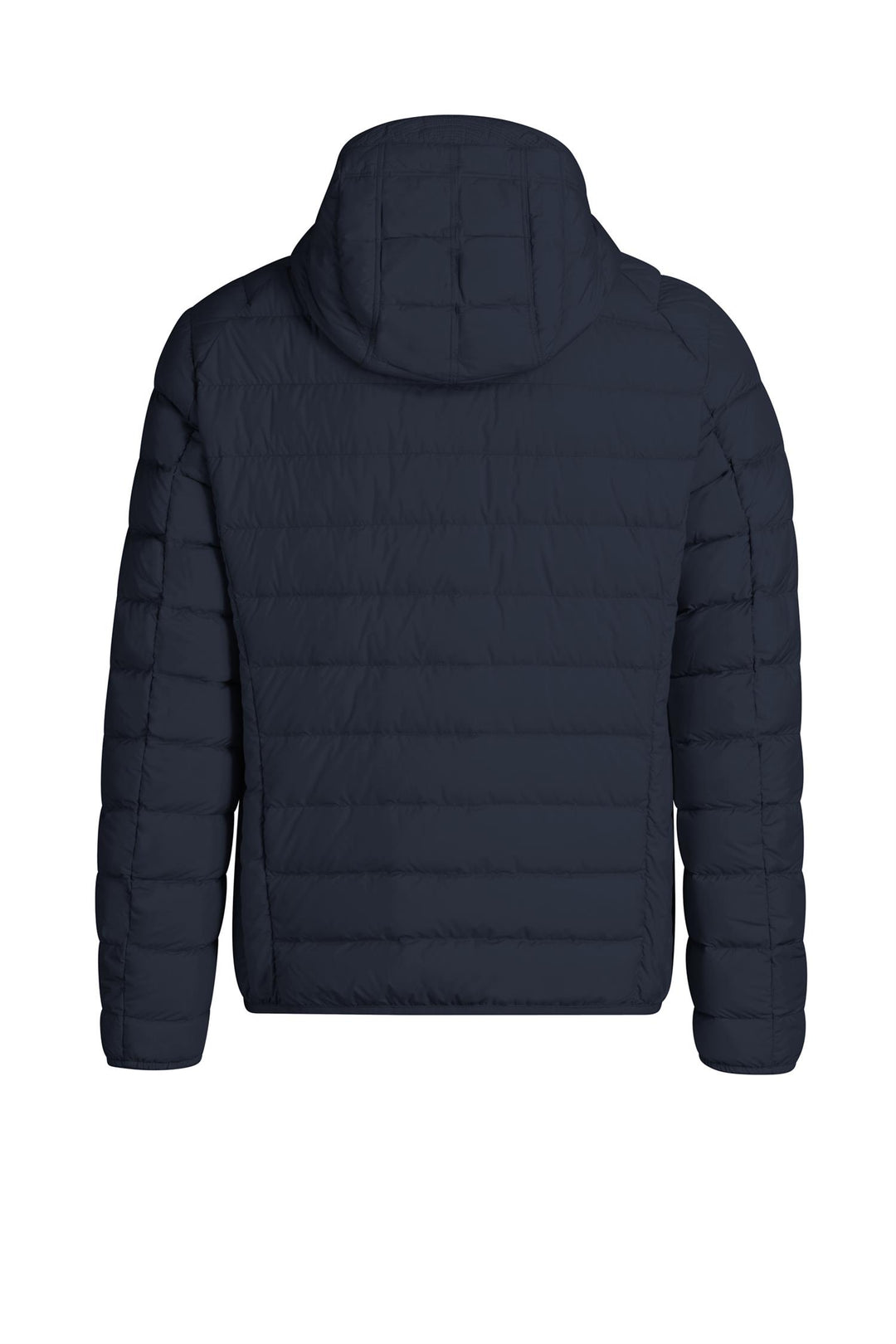 Last Minute  Navy