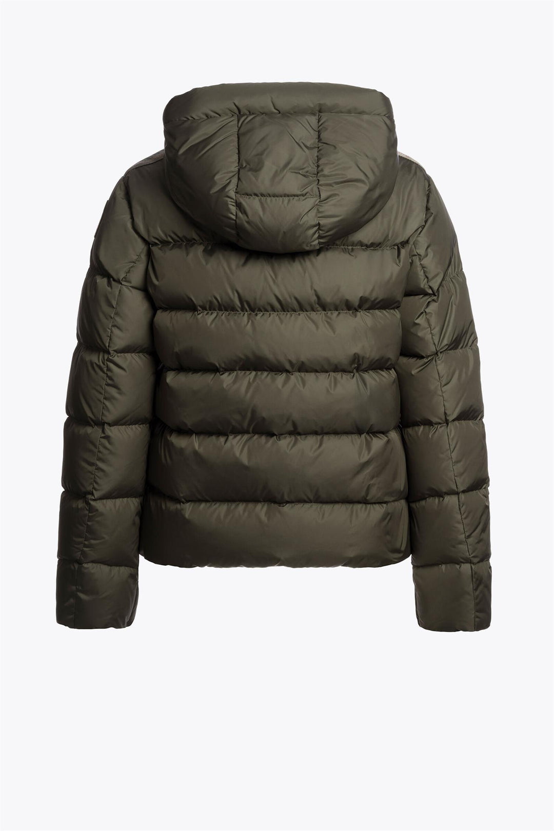 JINNY  Taggia Olive