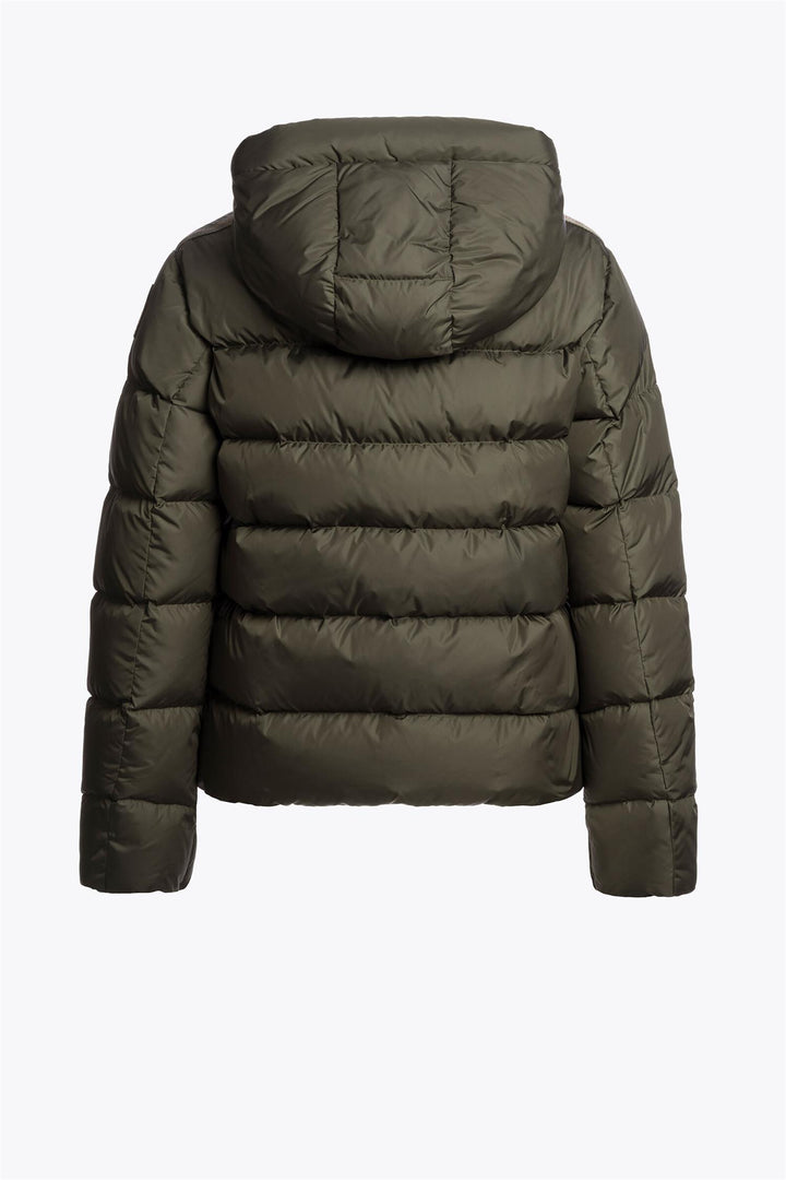 JINNY  Taggia Olive