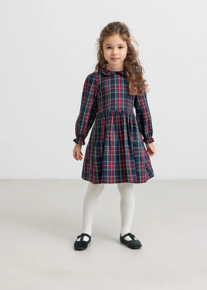 Delice  Pilot Navy Check