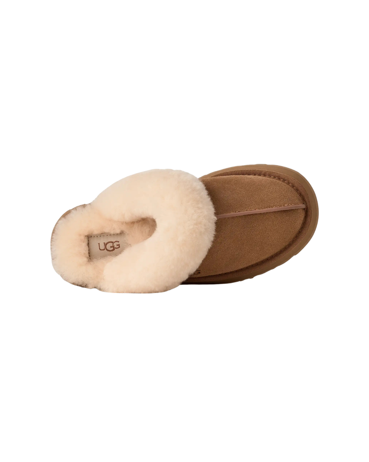 W Disquette  Chestnut