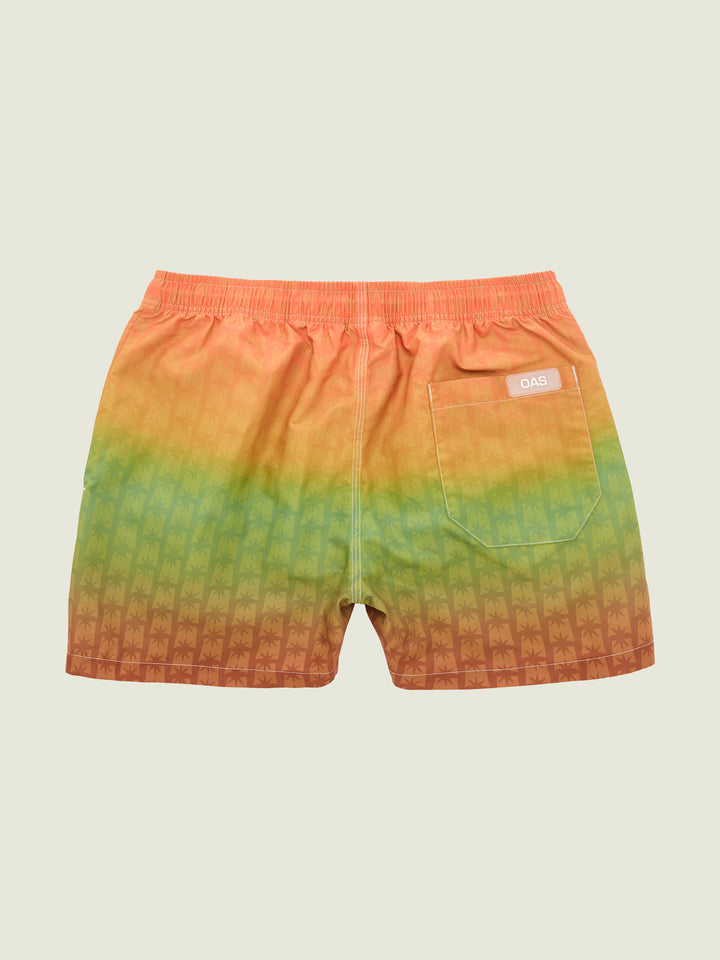 REGGAE AIR SWIM SHORTS