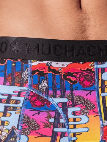 1010 Redridinghodha 04 2PK BOXER PR./PR.  Multi