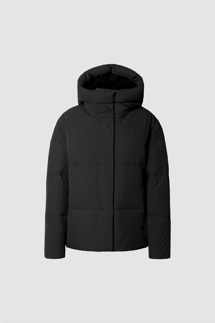 Acme Ii  Onyx