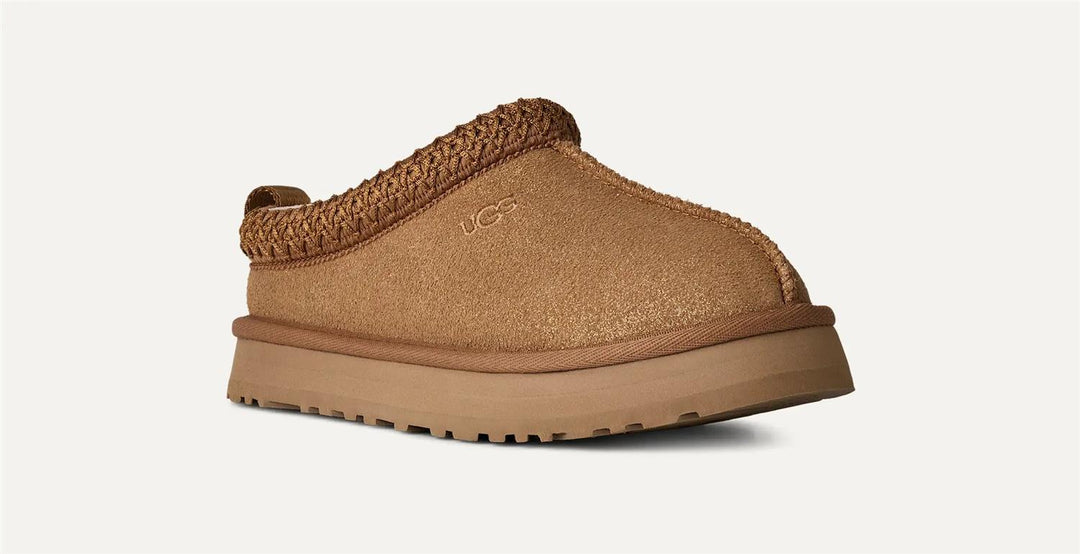 K Tazz Dazzle  Chestnut