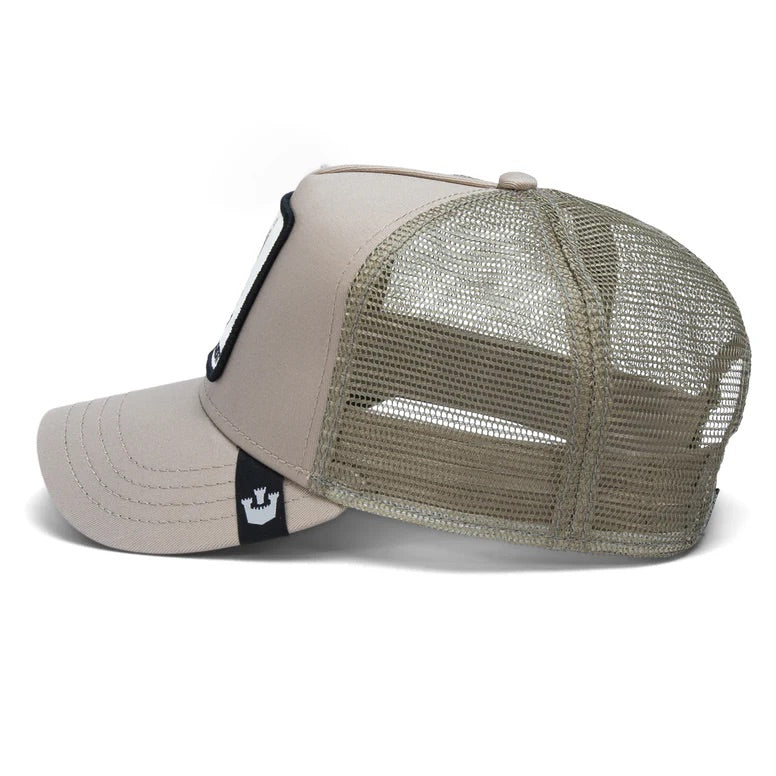 THE BANDIT COYOTE  Light Grey