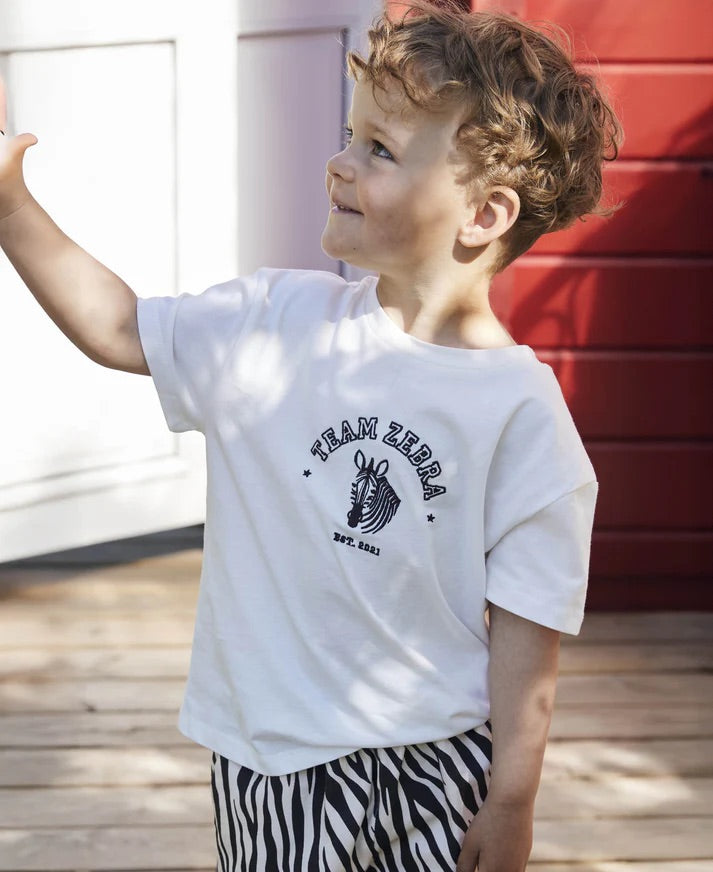 SOMMER ZEBRA T-SHIRT  Cloud Dancer