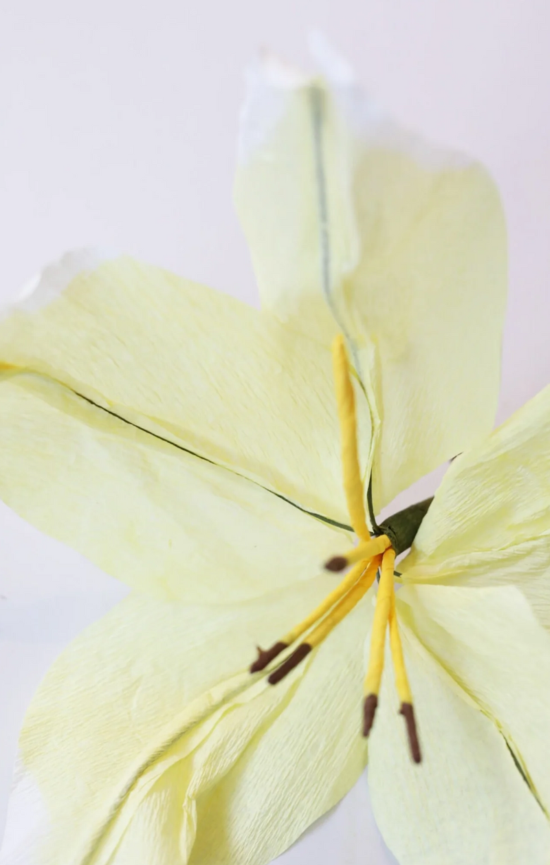 PAPER FLOWER LILY  Yellow
