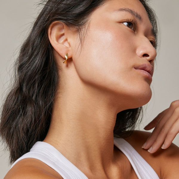 HOOPS, DAIA  Gull