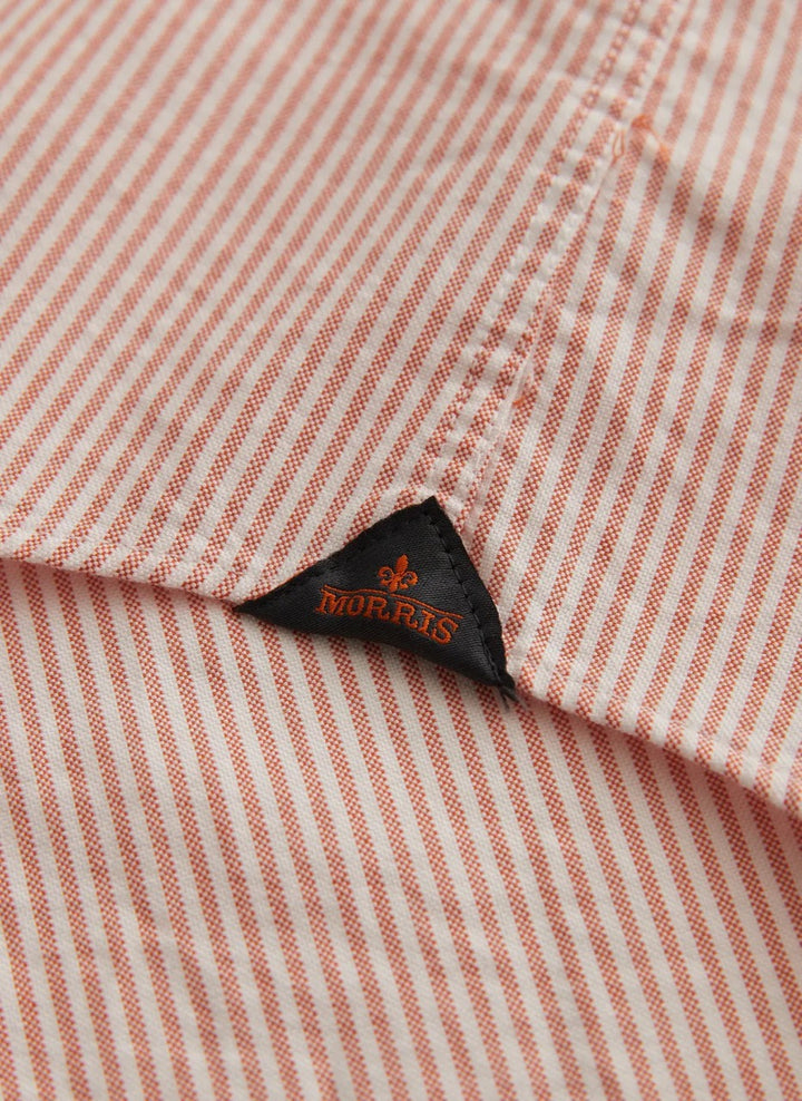 Douglas Stripe Shirt  Orange