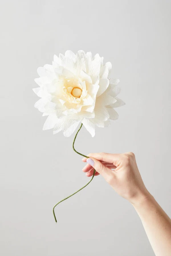 PAPER FLOWER GRAND DAHLIA  Sand